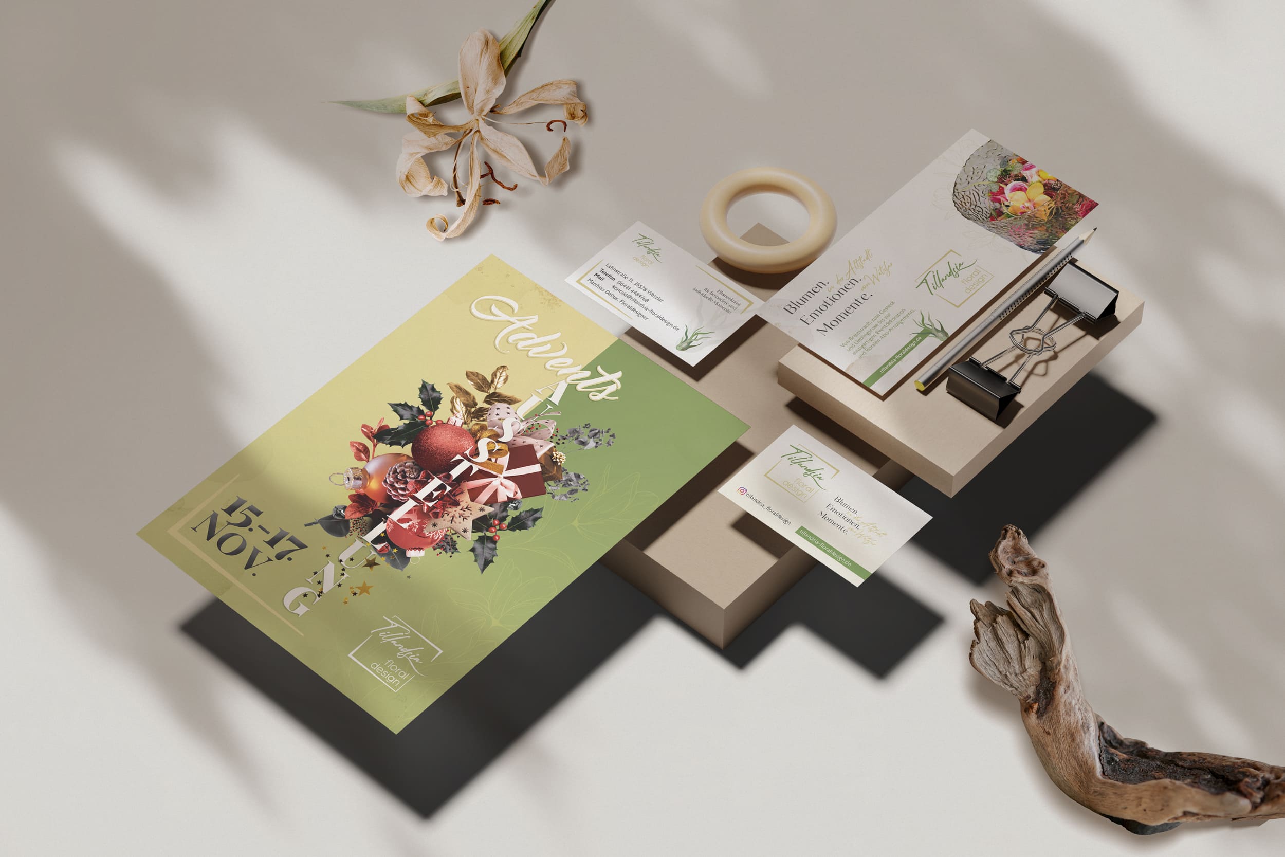 tillandsia-brand-design